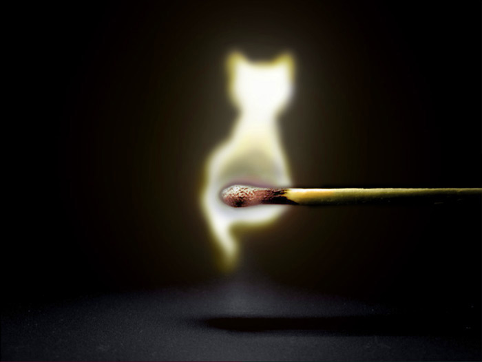 Montage photo d'une allumette qui a pour flamme la silhouette d'un chat.