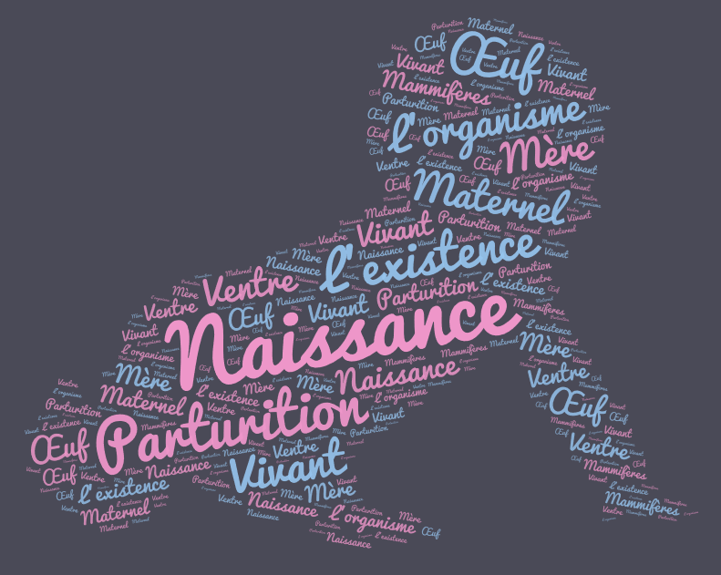 bébé réalisé en word art à l'aide du site wordart.com
